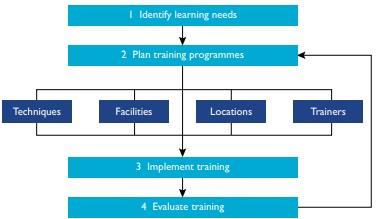 Training and Development1.jpg